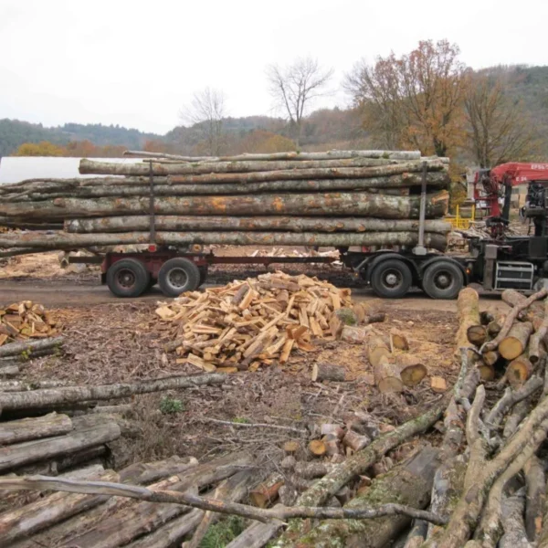 Mélange de grumes Hêtre, chêne, frêne, charmes– Lot Camion Complet (50 stères) – Certifié PEFC & FSC